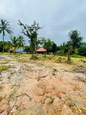 Plot at Goba Senta