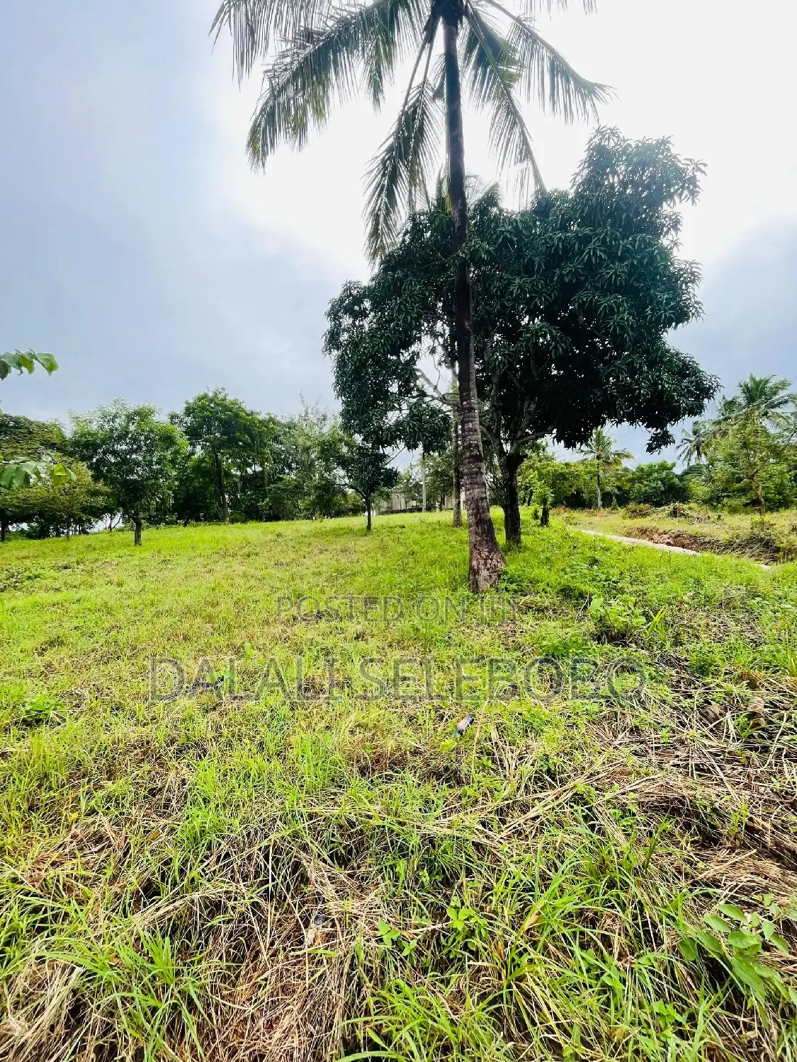 Plot at Goba Senta