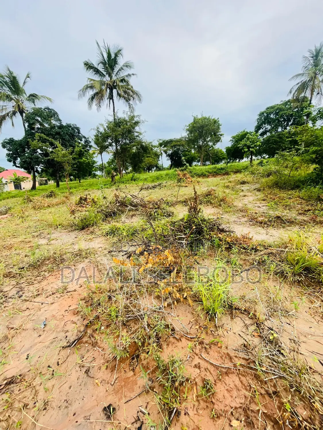 Plot at Goba Senta
