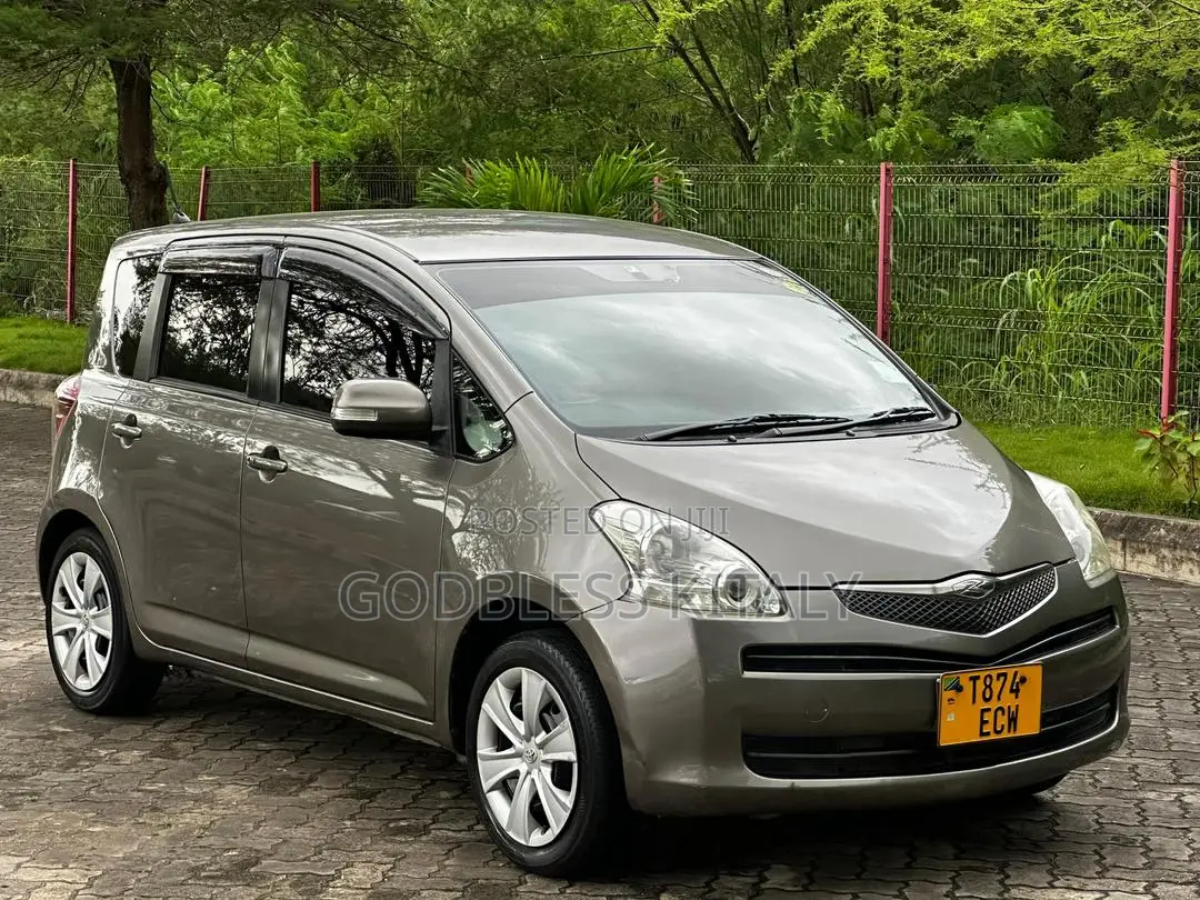 Toyota Ractis 2006 Gray