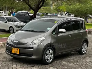 Toyota Ractis 2006 Gray