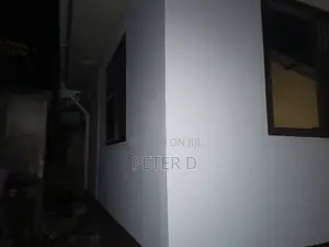 2bdrm Apartment in Mikocheni for rent