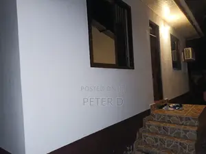 2bdrm Apartment in Mikocheni for rent