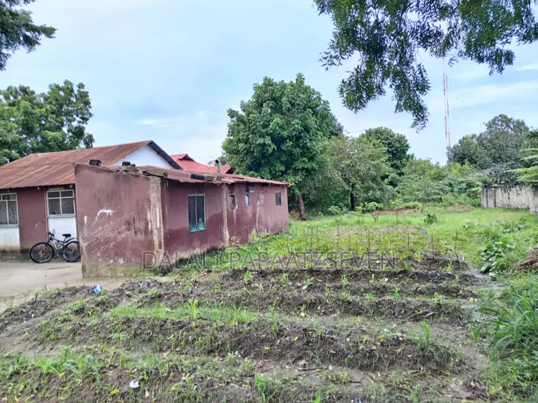 Eneo Lenye Ukubwa Wa SQMT 1330 Linauzwa Lipo Salasala
