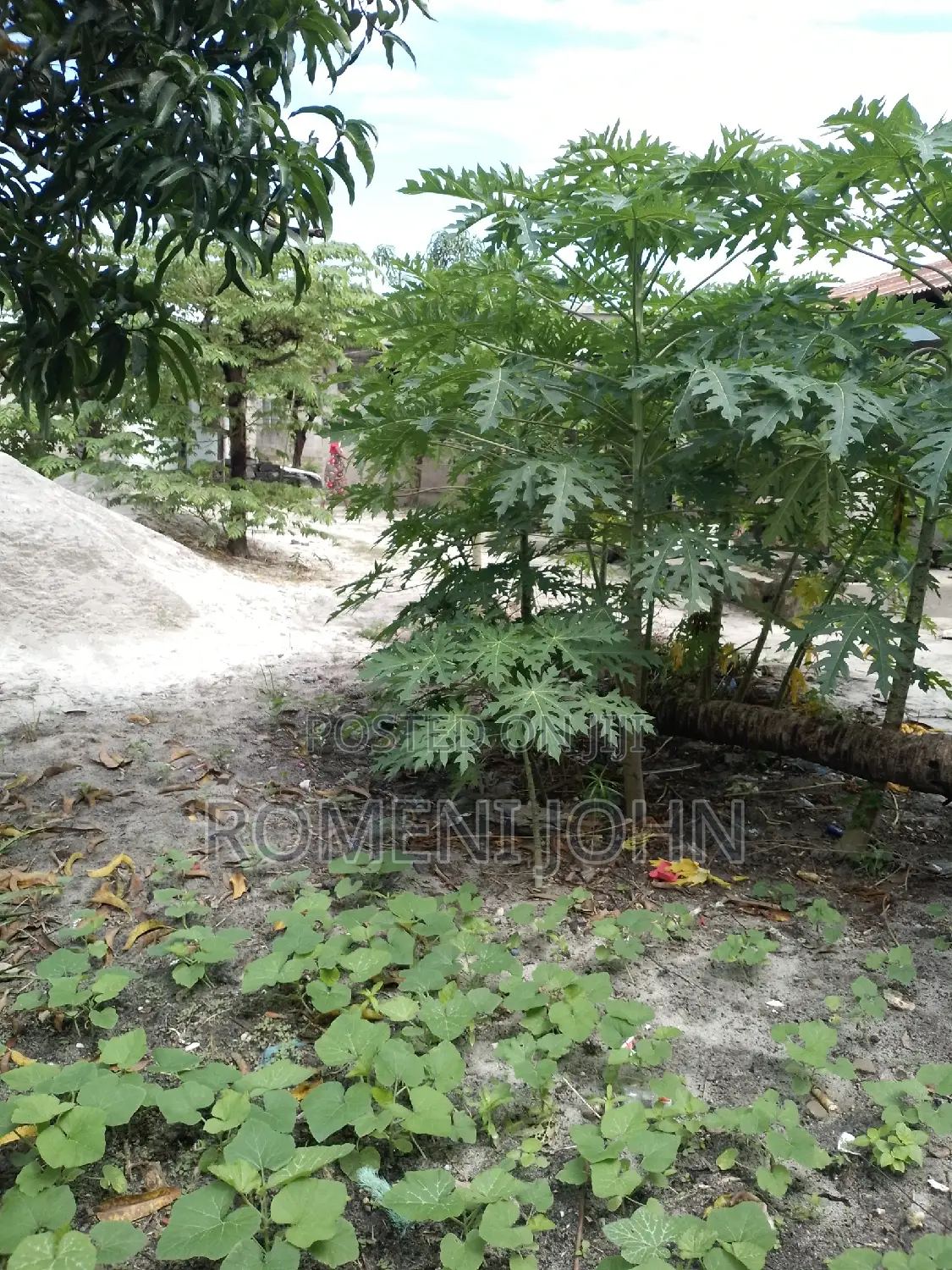 3bdrm House in Tanzania Dsm Ukonga, Ilala for sale