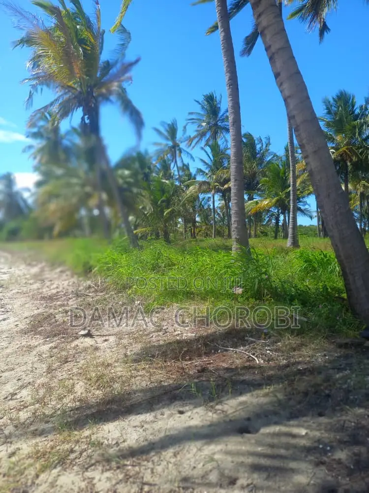 Acre 50 Beach Plot for Sale Kilwa