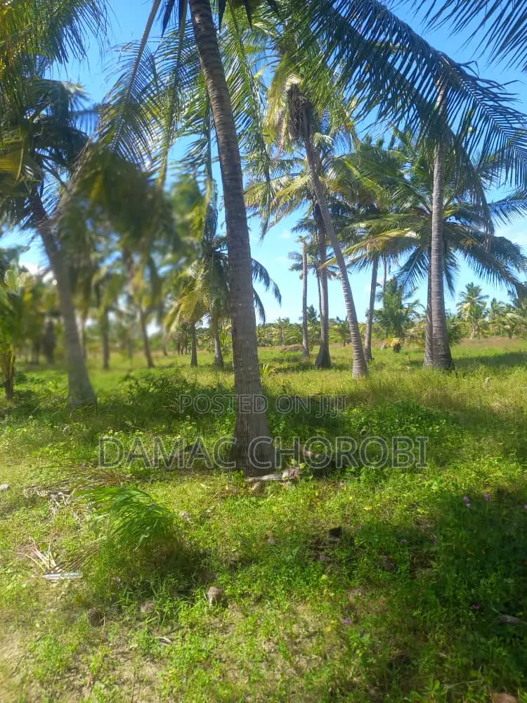 Acre 50 Beach Plot for Sale Kilwa