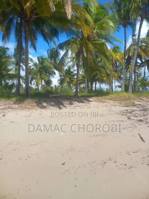 Acre 50 Beach Plot for Sale Kilwa
