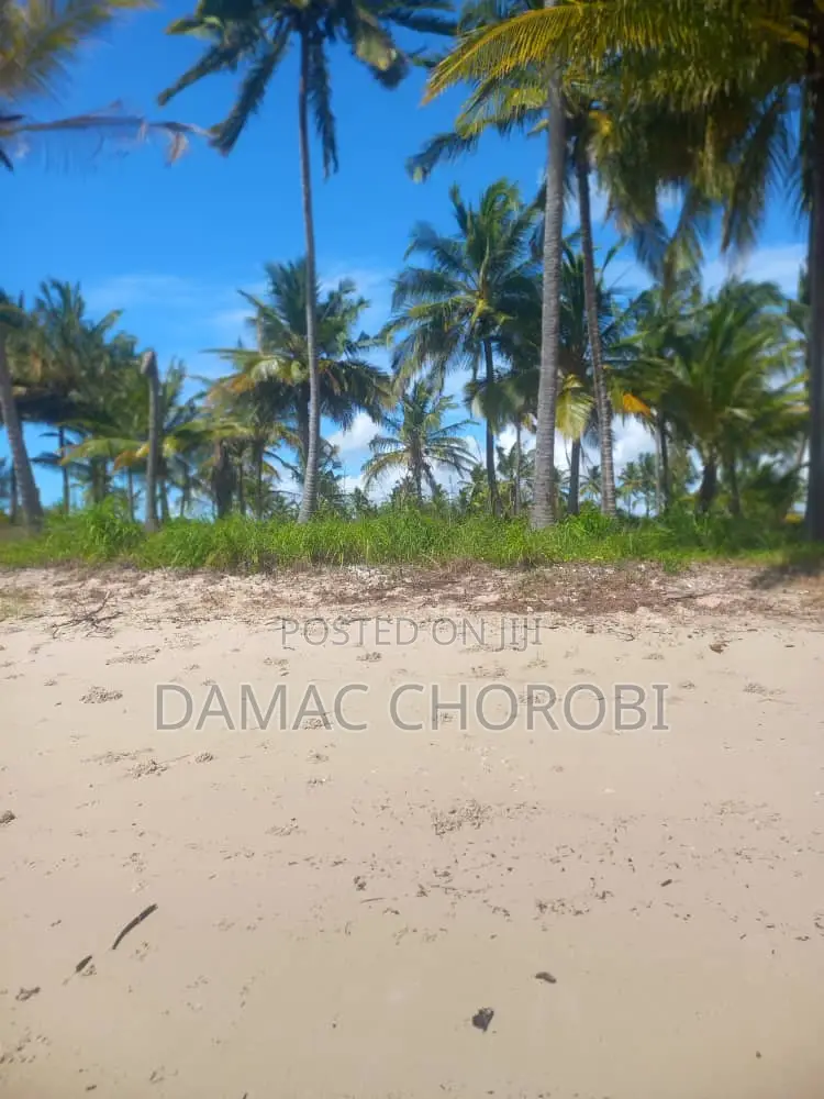 Acre 50 Beach Plot for Sale Kilwa
