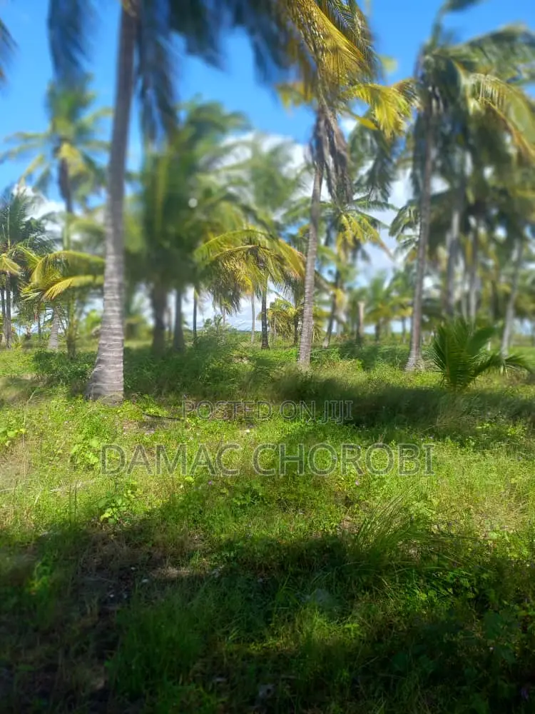 Acre 50 Beach Plot for Sale Kilwa