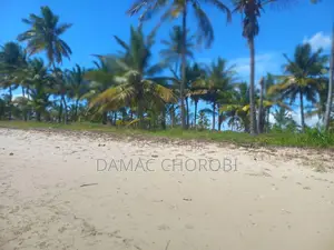 Baach Plot for Sale Locton Kilwa