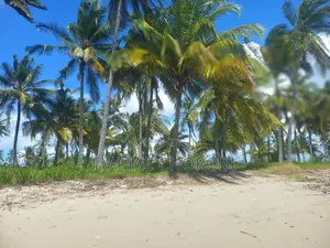 Baach Plot for Sale Locton Kilwa