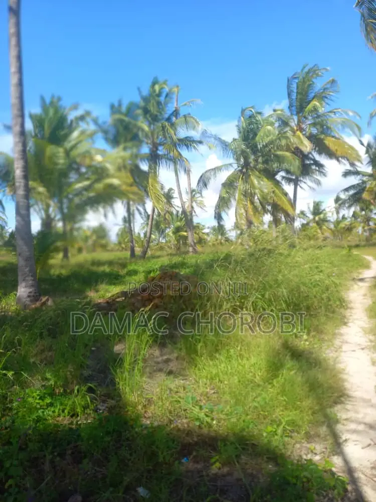 Baach Plot for Sale Locton Kilwa