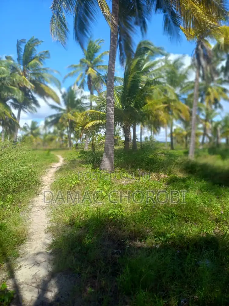 Baach Plot for Sale Locton Kilwa