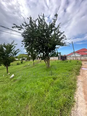 Plot La Biashara Mbez Luguruni