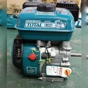 Gasoline Engine 6.5hp (Total)