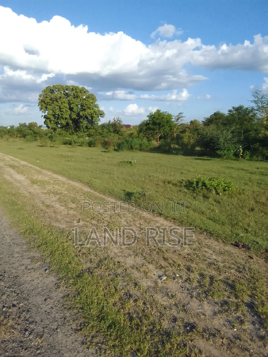 80 Acres Industrial Land in Bagamoyo