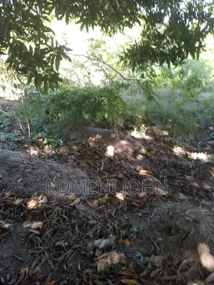 Kiwanja Sqmita 400 Kinauzwa Milioni 6.5 Majohe Chuo Rada .