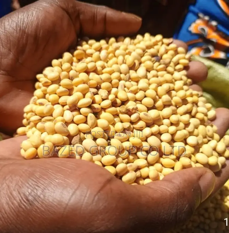 Soya Bean (Soya Lishe ) ,50kg