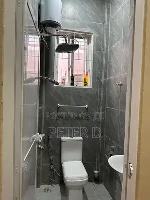 2bdrm Apartment in Mikocheni for rent