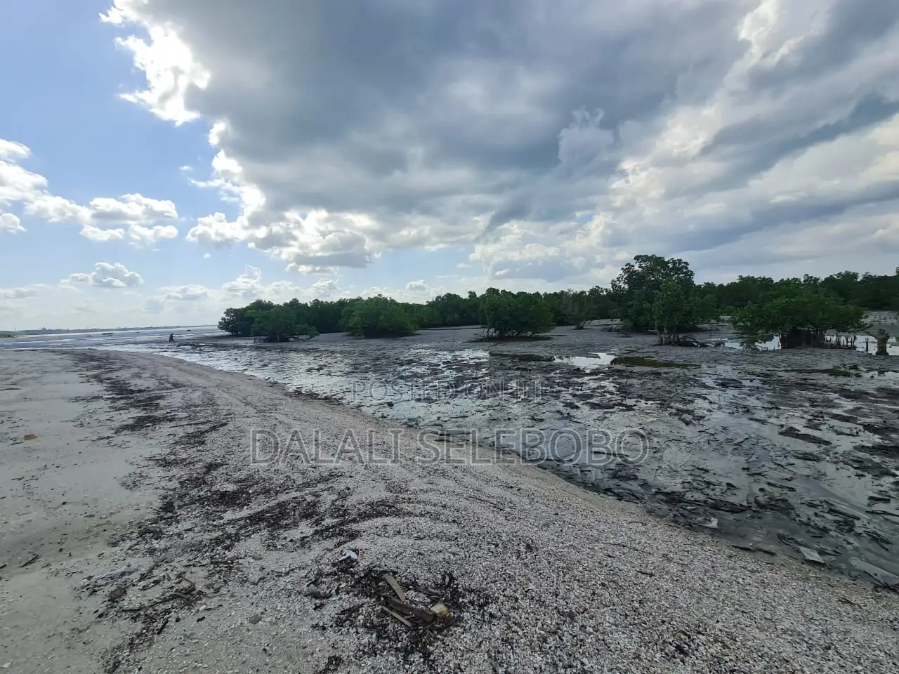 Beach Plot at Bagamoyo Kaole