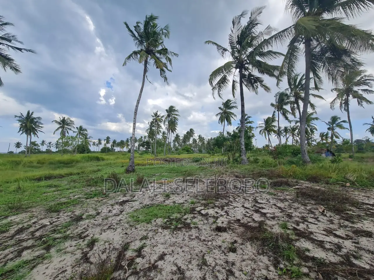 Beach Plot Special for Hotel Investment