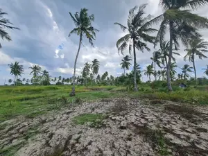 Beach Plot Special for Hotel Investment