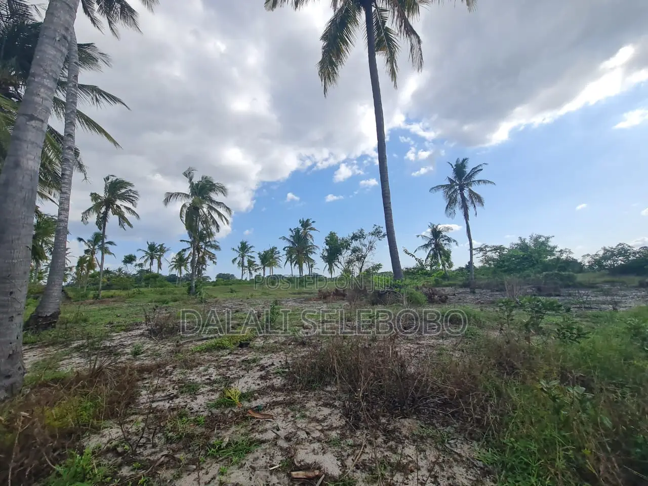 Beach Plot Special for Hotel Investment