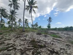 Beach Plot Special for Hotel Investment