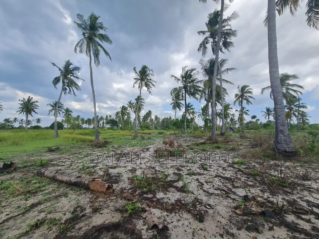 Beach Plot Special for Hotel Investment