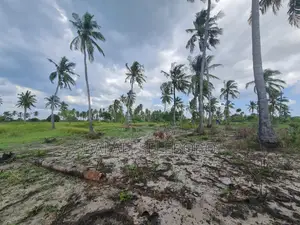 Beach Plot Special for Hotel Investment