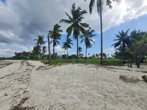 Beach Plot at Bagamoyo Nunge