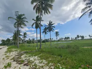 Beach Plot at Bagamoyo Nunge