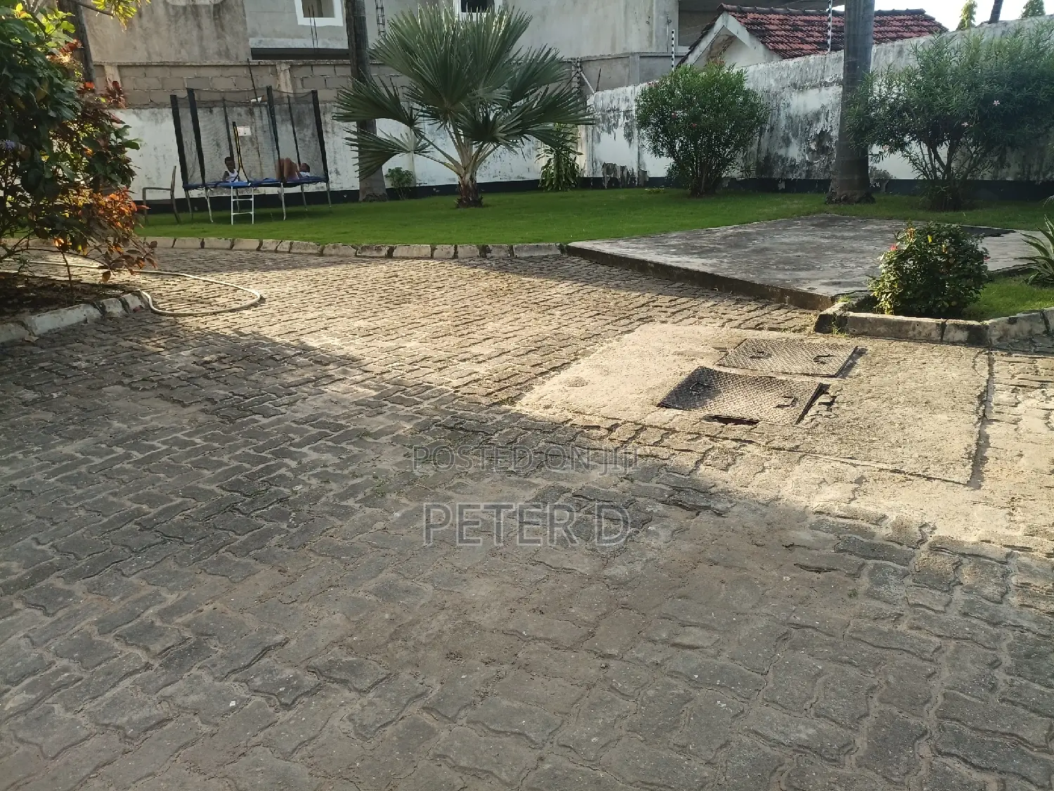 3bdrm House in Mikocheni for rent