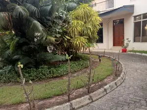 3bdrm House in Mikocheni for rent