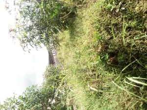 Industrial Plot Sale at Kibaha