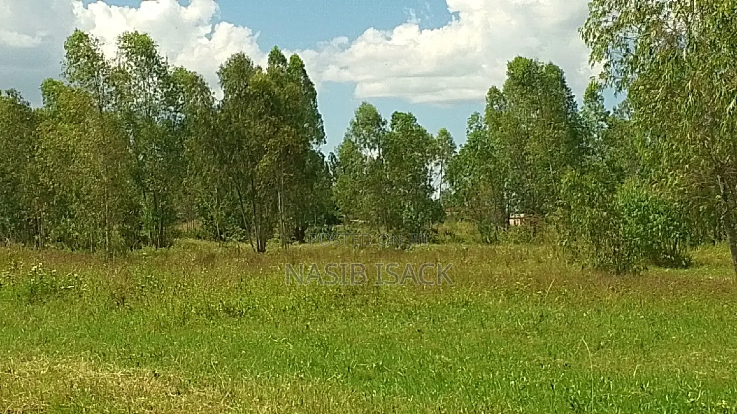 Kiwanja Heka 15