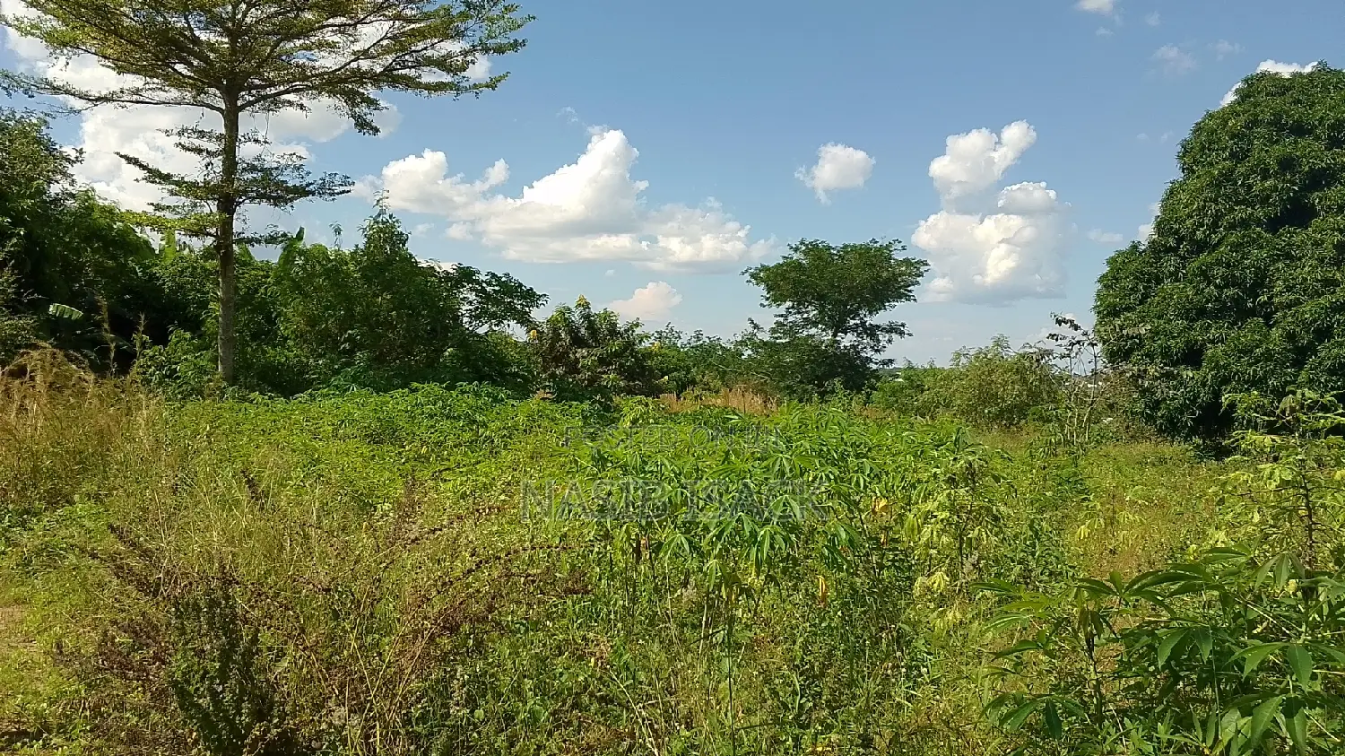 Eneo LA Heka 17 Linauzwa, Mwanza Kanyama