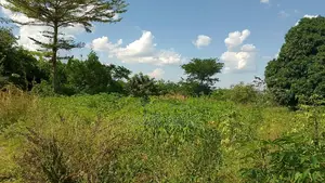Eneo LA Heka 17 Linauzwa, Mwanza Kanyama