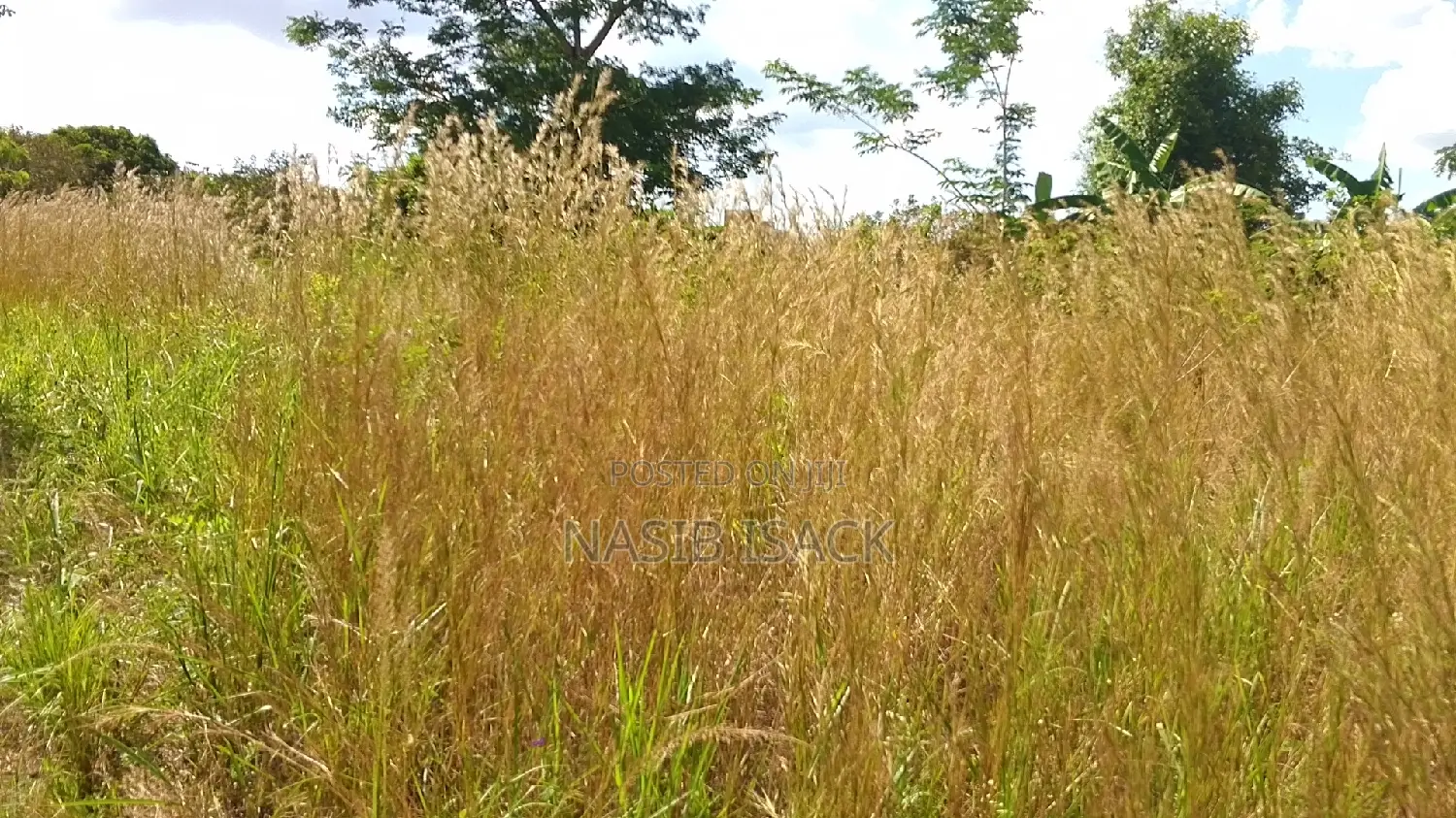 Eneo LA Heka 17 Linauzwa, Mwanza Kanyama