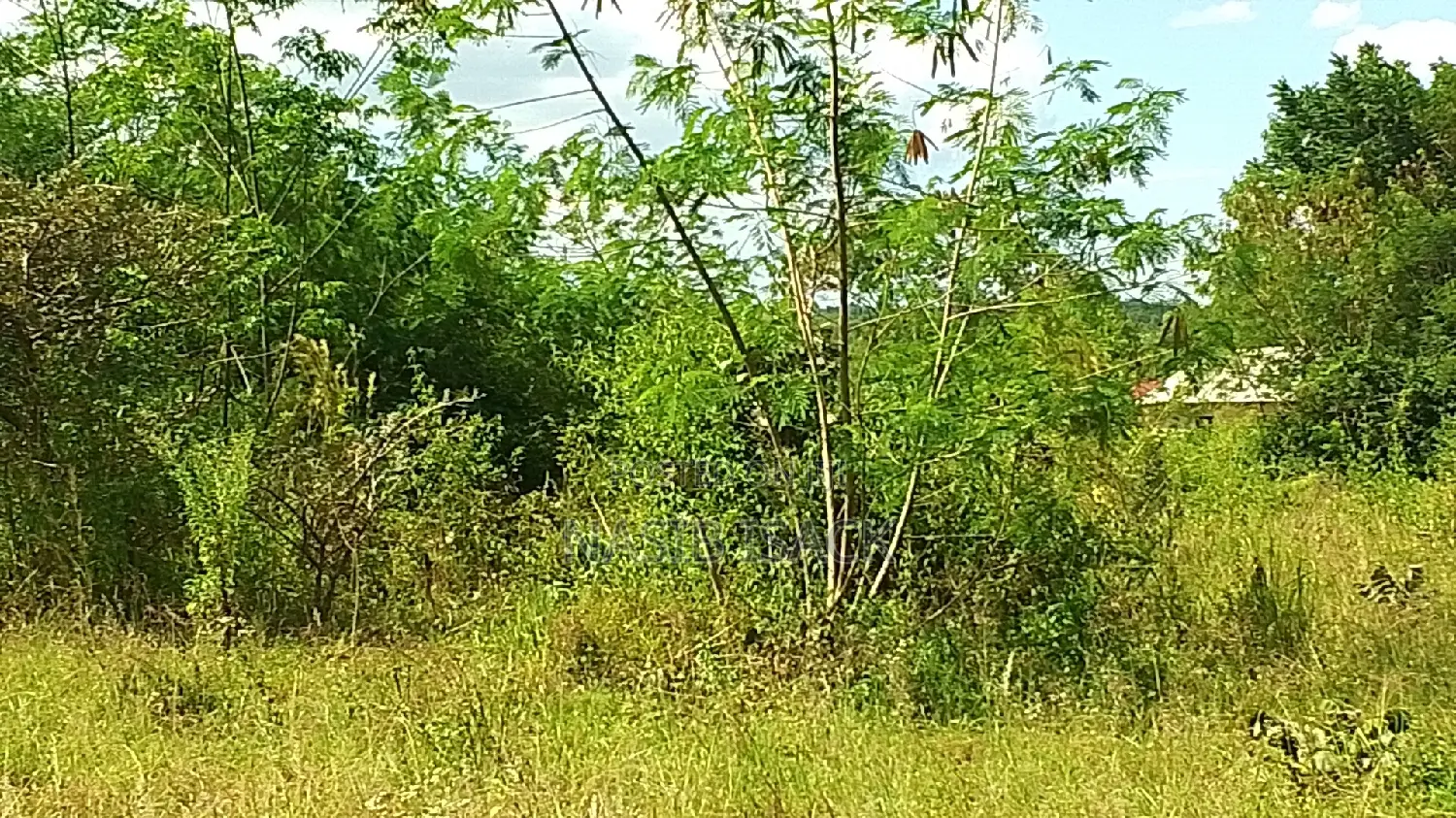 Eneo LA Heka 17 Linauzwa, Mwanza Kanyama
