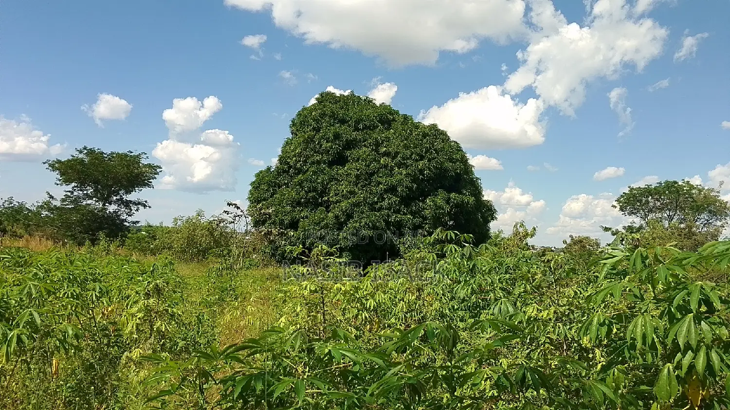 Eneo LA Heka 17 Linauzwa, Mwanza Kanyama