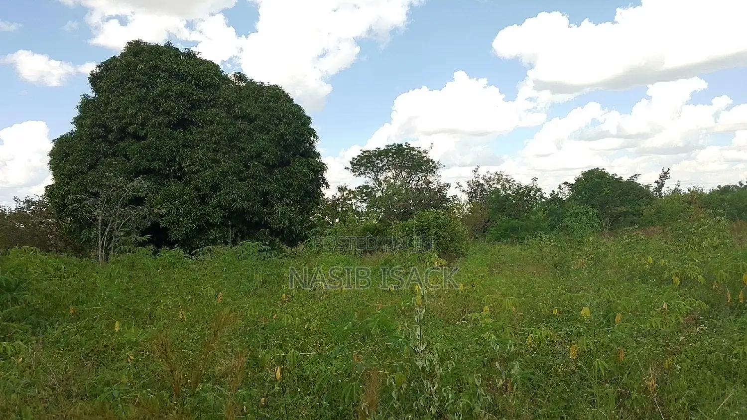 Eneo LA Heka 17 Linauzwa, Mwanza Kanyama