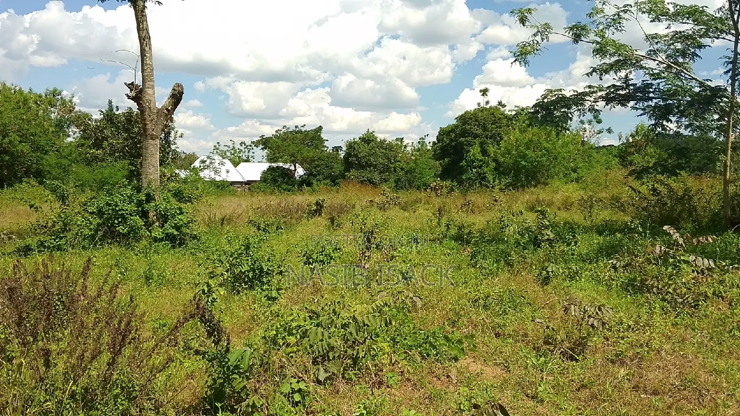 Eneo LA Heka 17 Linauzwa, Mwanza Kanyama