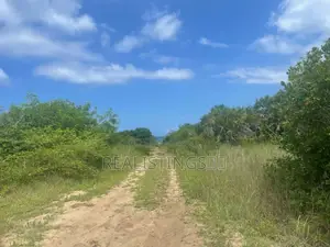 Kigamboni: Ocean Front 3 Beach Plots of 5.8 Acres Zinauzwa