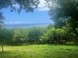 Kigamboni: Ocean Front 3 Beach Plots of 5.8 Acres Zinauzwa
