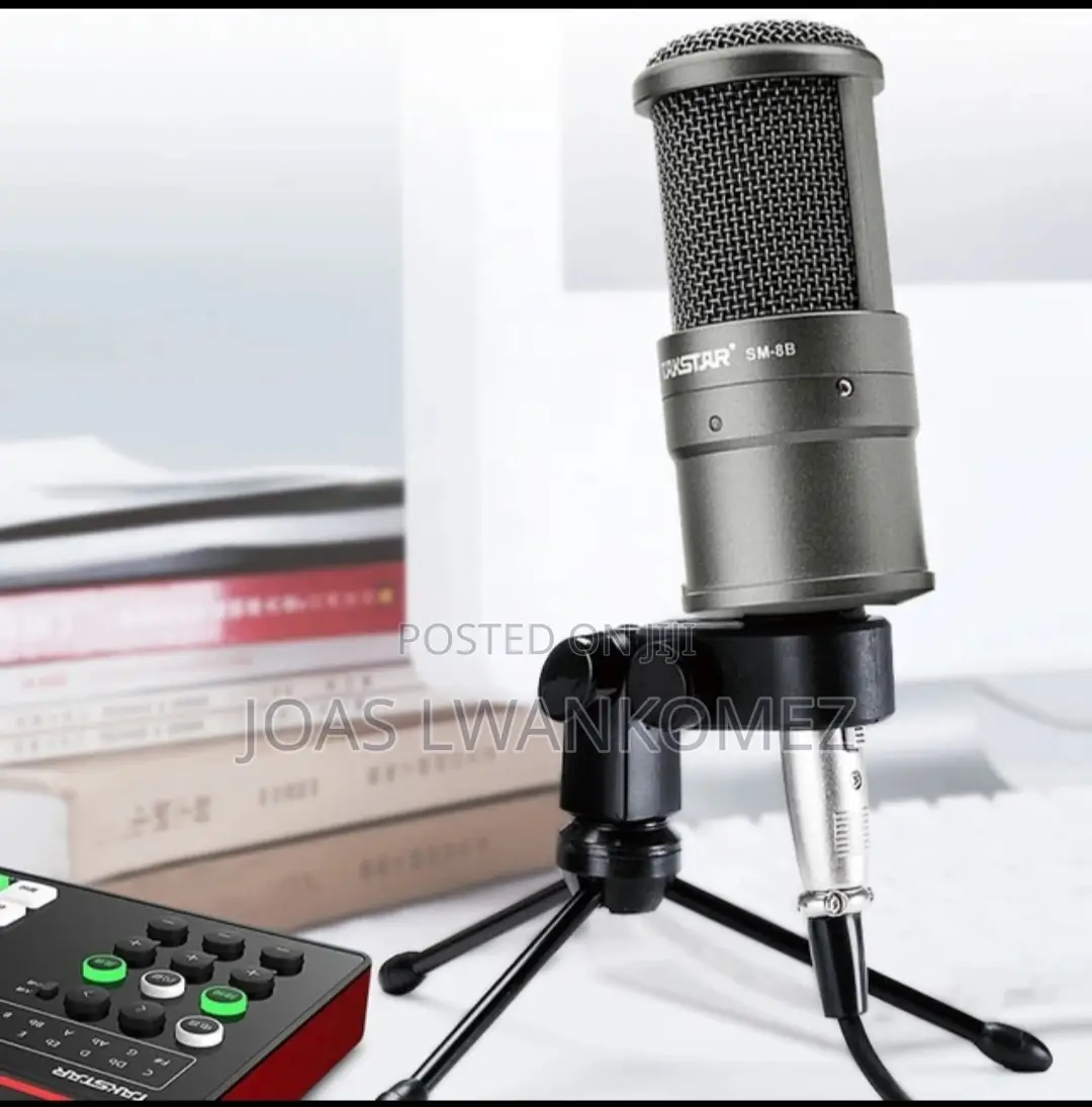 Takstar Condenser Microphone(SM 8B).