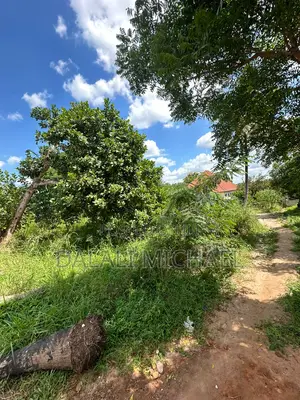 Plot for Sale Madale
