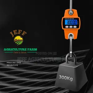 Digital Scale Fully Combine 2024