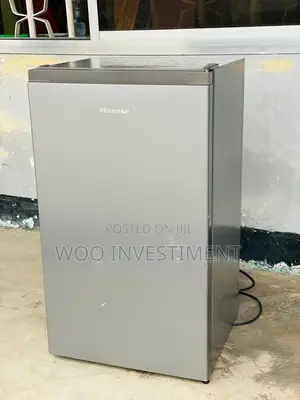 Mini Fridge Clean Sana Lita 98 Clean. Zipo